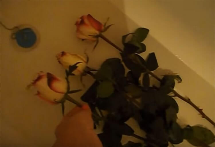 Как реанимировать букет роз