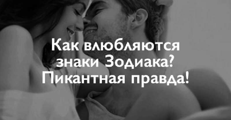 Черновик