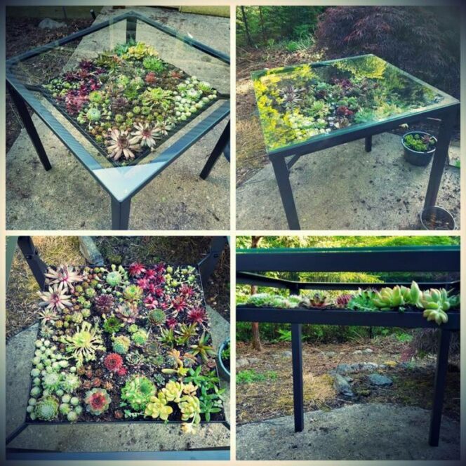 17 Fabulous Ideas How to Turn Your Table Into a Small Succulent Gardens