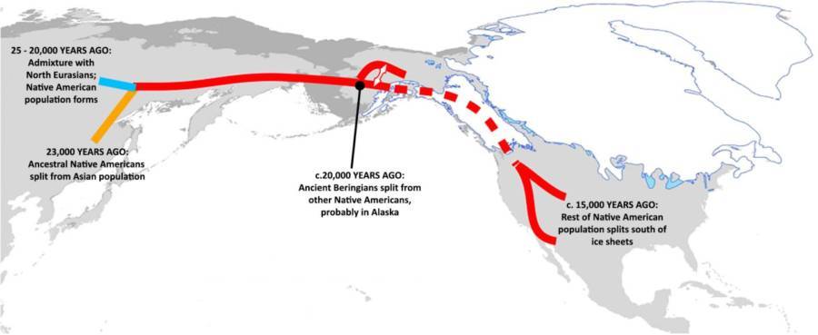 Bering Strait Migration Pattern