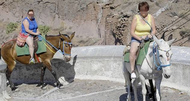 Tourists On Donkeys