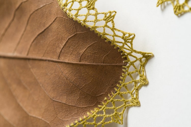 Crochet Leaves by Susanna Bauer