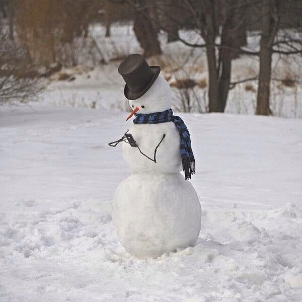 Winter Makes No Sense if You Don’t Make a Snowman. We Have Collected 15 Most Original Examples to Inspire You!