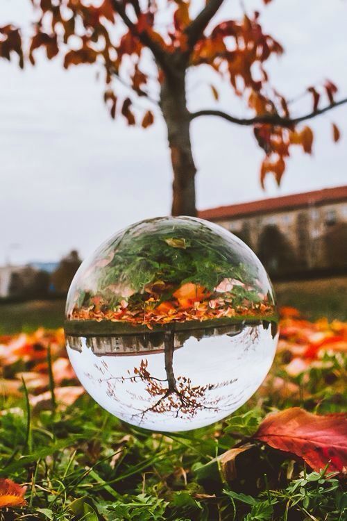 17 Glass Balls Reflecting Wonderful Landscapes