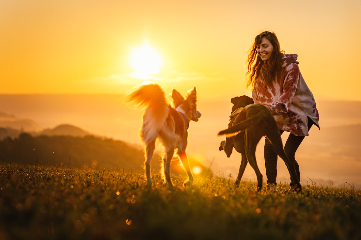Woman and Her Dogs at Sunset
