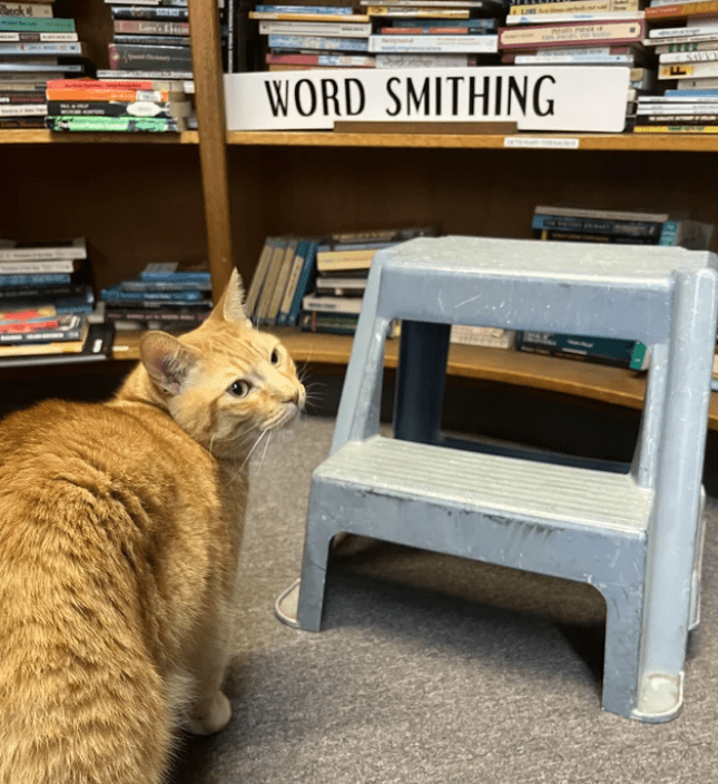 Cat - book Hell WORD SMITHING GREENS