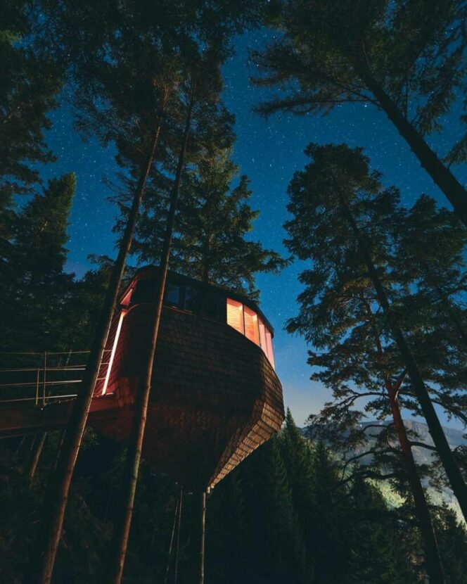 Norwegian Treehouses That Look Line Pinecones. This Is Where You Can Admire One of the Longest Fjords!