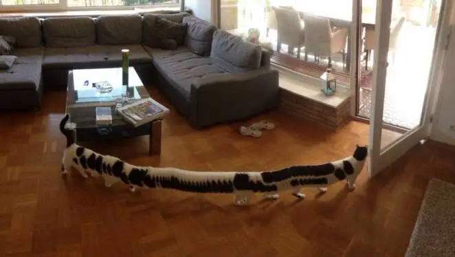 23 People Who Created Fantastic Creatures While Taking Panoramic Photos