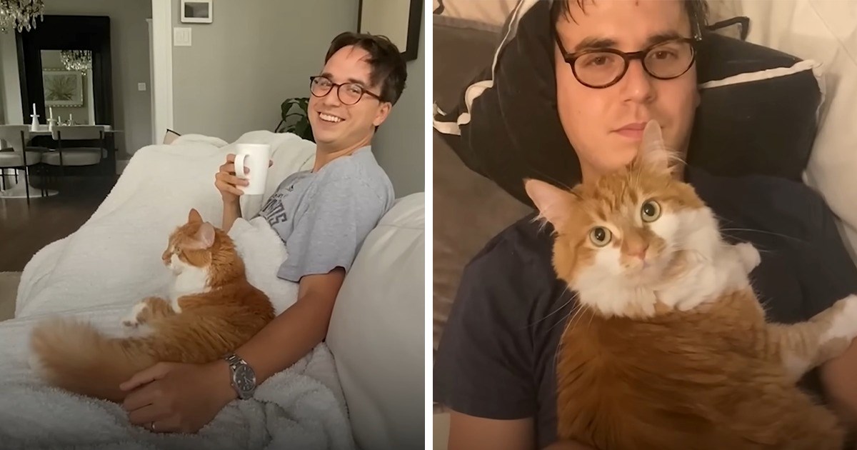 two-pictures-including-a-cat-cuddling-with-a-smiling-man-and-a-cat-lying-directly-on-top-of-a-man